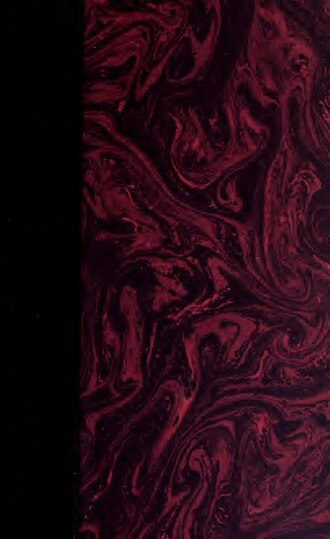 Logótipo de Cinco Ribeiras