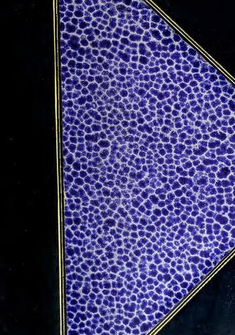 Logótipo de Cumeada e Marmeleiro