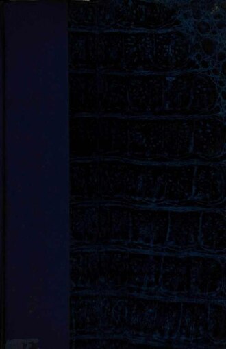 Logótipo de Ginetes